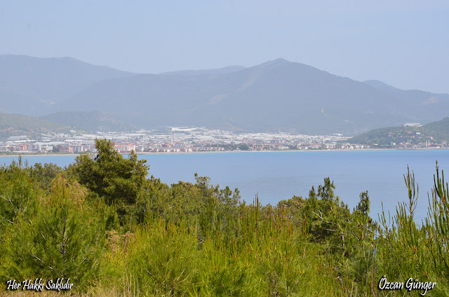 Bozyazı Fotoğrafları